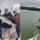 Lake Hartwell Fishing